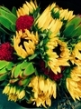 Sunflower bouquet  - PhotoDune Item for Sale