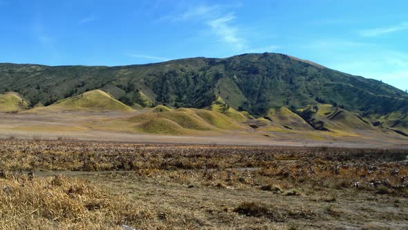 Concept 2-N1 Savanna With Montainous View at Mount Bromo