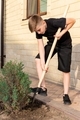 Eleven-year-old blond boy with a shovel loosens the ground under a juniper tree - PhotoDune Item for Sale