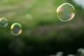Colorful rainbow soap bubbles outside against green background. - PhotoDune Item for Sale