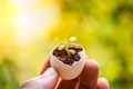 Man holding an eggshell with a plant growing inside  - PhotoDune Item for Sale
