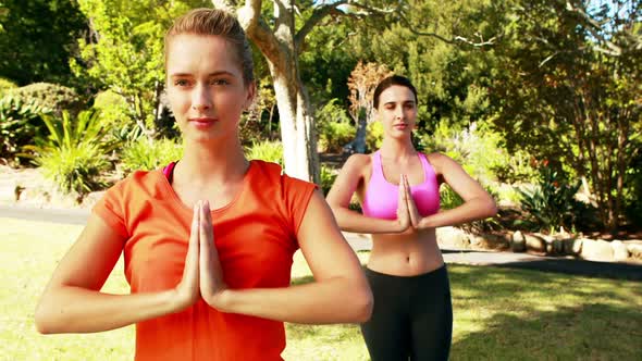 Women performing yoga in park