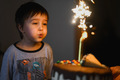 A three-year-old boy blows out candles on a cake in honor of his birthday - PhotoDune Item for Sale