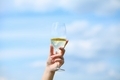 Glass of wine on a background of a sunflower field - PhotoDune Item for Sale