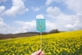 Ukraine - PhotoDune Item for Sale