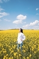 Depth of a field of flowers.  - PhotoDune Item for Sale