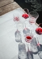 Wine Glasses With Different Types Of Wine - PhotoDune Item for Sale