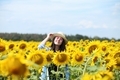 woman in sunflowers field - PhotoDune Item for Sale