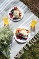 summer picnic with lemonade in glasses, flowers, waffles with raspberry and blueberry cream - PhotoDune Item for Sale