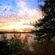 Timelapse of a Colorful and Dramatic Sunset Over a Natural Forest Lake Landscape - VideoHive Item for Sale