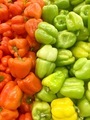 Colorful peppers  - PhotoDune Item for Sale