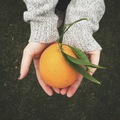 Young woman holding an freshly picked orange in her hands - PhotoDune Item for Sale