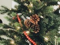 White lights, pine cones, and a string of red beads simply decorated a Christmas tree - PhotoDune Item for Sale
