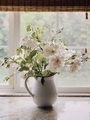 Beautiful white roses with soft window light grace a kitchen counter - PhotoDune Item for Sale