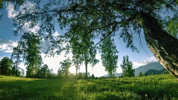 Mountain Meadow Timelapse at the Summer or Autumn Time