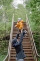 A laughing baby toddler tossed up in the air by dad. A father playing with his child in park forest. - PhotoDune Item for Sale