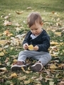 Toddler learning and playing with autumn leaves in a grassy park - PhotoDune Item for Sale