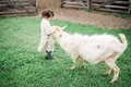 Little girl feeding goats on the farm. Agritourism concept. Life in the countryside - PhotoDune Item for Sale