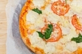 Pizza with cheese, chicken and tomatoes  - PhotoDune Item for Sale