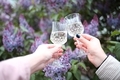 crystal glasses with white wine on the background of a blooming garden - PhotoDune Item for Sale