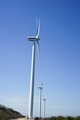 Windmill park for green energy. - PhotoDune Item for Sale
