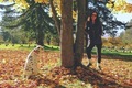 Dalmatian dog and pretty women, autumn sunny day - PhotoDune Item for Sale