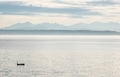 Blue Heron bird resting on a floating dock on Puget Sound with distant Olympic Mountains.  - PhotoDune Item for Sale