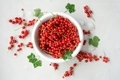 A bowl with red currant on the white background. - PhotoDune Item for Sale