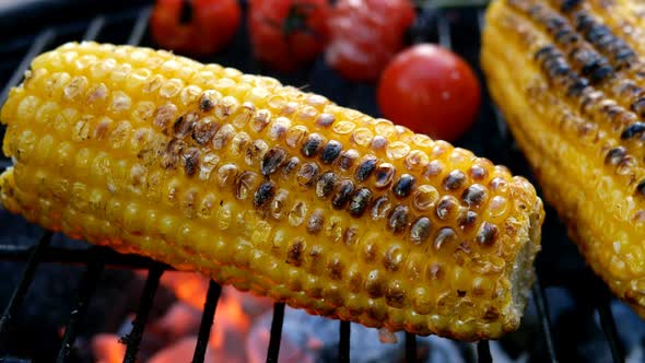 Burnt Golden Color Corn Cob with Cherry Tomato is Fried on Grill or Barbecue Grate with Smoke