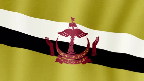 The National Flag of Brunei alt
