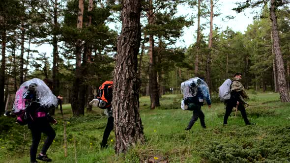 Group Of Young Hikers