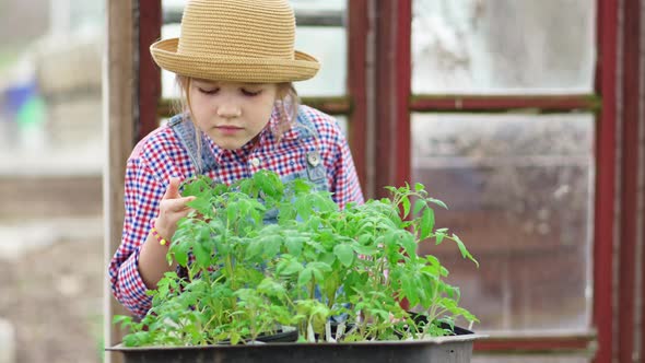 a Little Girl in a Hat Looks at the Seedlings in the Greenhouse