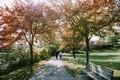 Sunny fall/autumn day in the park with lens flare and orange foliage trees and two men walking - PhotoDune Item for Sale