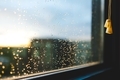 Sunlight highlighting the raindrops on a window - PhotoDune Item for Sale
