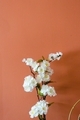 Terracotta colored wall with artificial fake white flowers in front in minimalistic style - PhotoDune Item for Sale