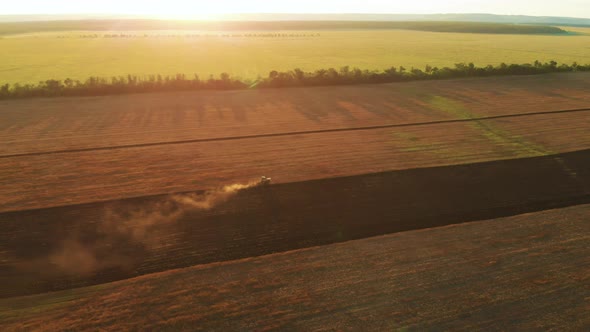 Aerial View Agriculture Wheat on the Field a During Sunset