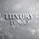 Luxury Clean Logo - VideoHive Item for Sale