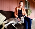 Kangaroo pet laying on couch beside smiling woman  - PhotoDune Item for Sale