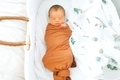 A sleeping newborn baby swaddled in his bassinet in an earth tone swaddling blanket.  - PhotoDune Item for Sale
