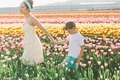 A mother and little boy holding hands and walking through a field of tulips.  - PhotoDune Item for Sale