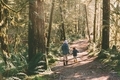 Two boys hiking in the forest, exploring.  - PhotoDune Item for Sale
