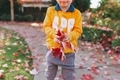 A little boy with an armful of leaves on a sunny fall day.  - PhotoDune Item for Sale