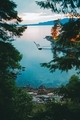 A calm ocean view through the trees at twilight. - PhotoDune Item for Sale