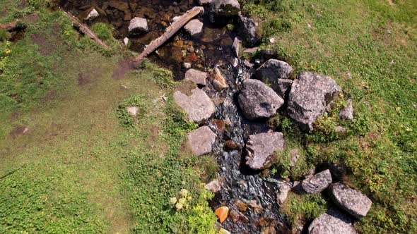 A Small Pond and a Stream in a Mountain Forest