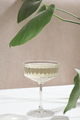 a glass of champagne on a table next to a large leaf plant, vertical.  - PhotoDune Item for Sale