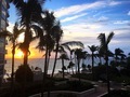 Tropical vibes sunrise palm trees on Atlantic Ocean in Florida  - PhotoDune Item for Sale
