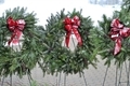 Freshly cut Christmas wreaths for Christmas decorations for the holidays  - PhotoDune Item for Sale