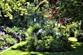 Beautiful well kept garden  - PhotoDune Item for Sale