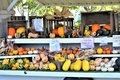 Roadside stand farmer selling freshly grown produce in fall  - PhotoDune Item for Sale