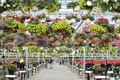 Retail garden center with colorful flowers and hanging baskets  - PhotoDune Item for Sale